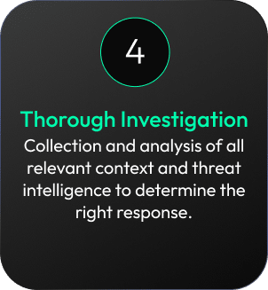 Thorough Investigation