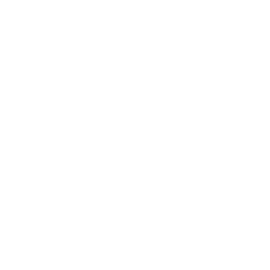 Department of Homeland Security Seal